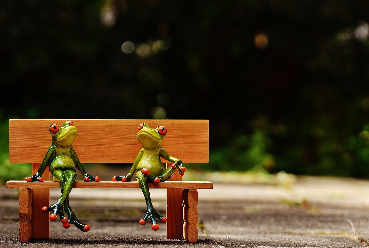 a pair of frogs sitting on a bench