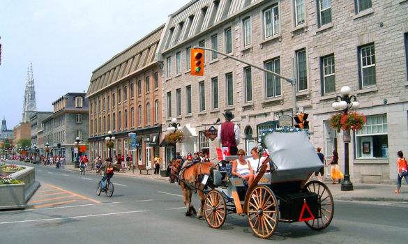 a horse carriage on the street